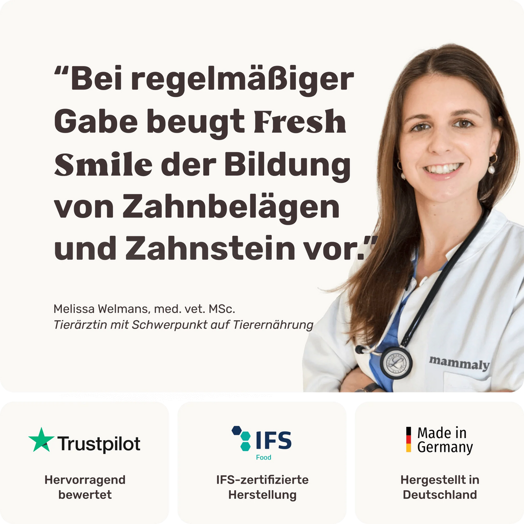 Fresh Smile