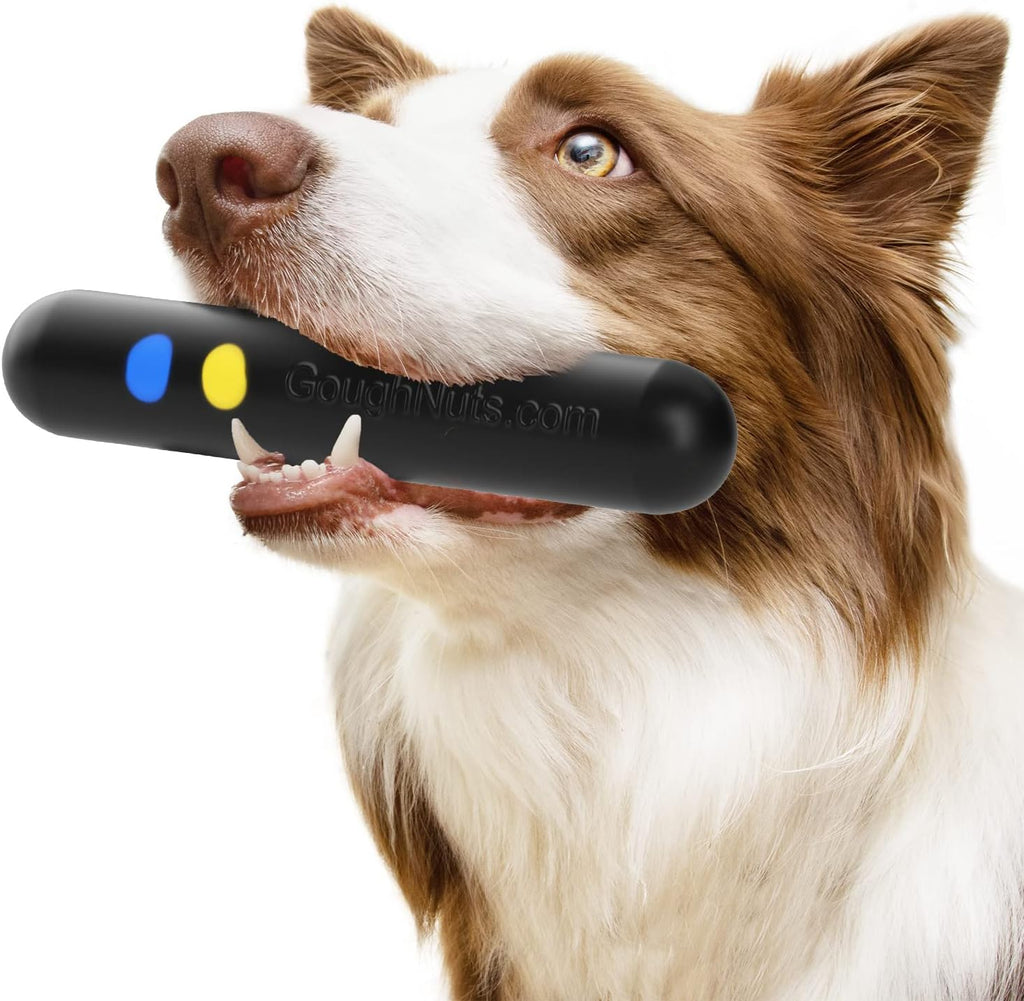 Goughnuts - Hunde-Kauspielzeug, praktisch unzerstrbar - Das Hundespielzeug für Power-Kauer hlt selbst hartnckigen Hunden Stand - Orange