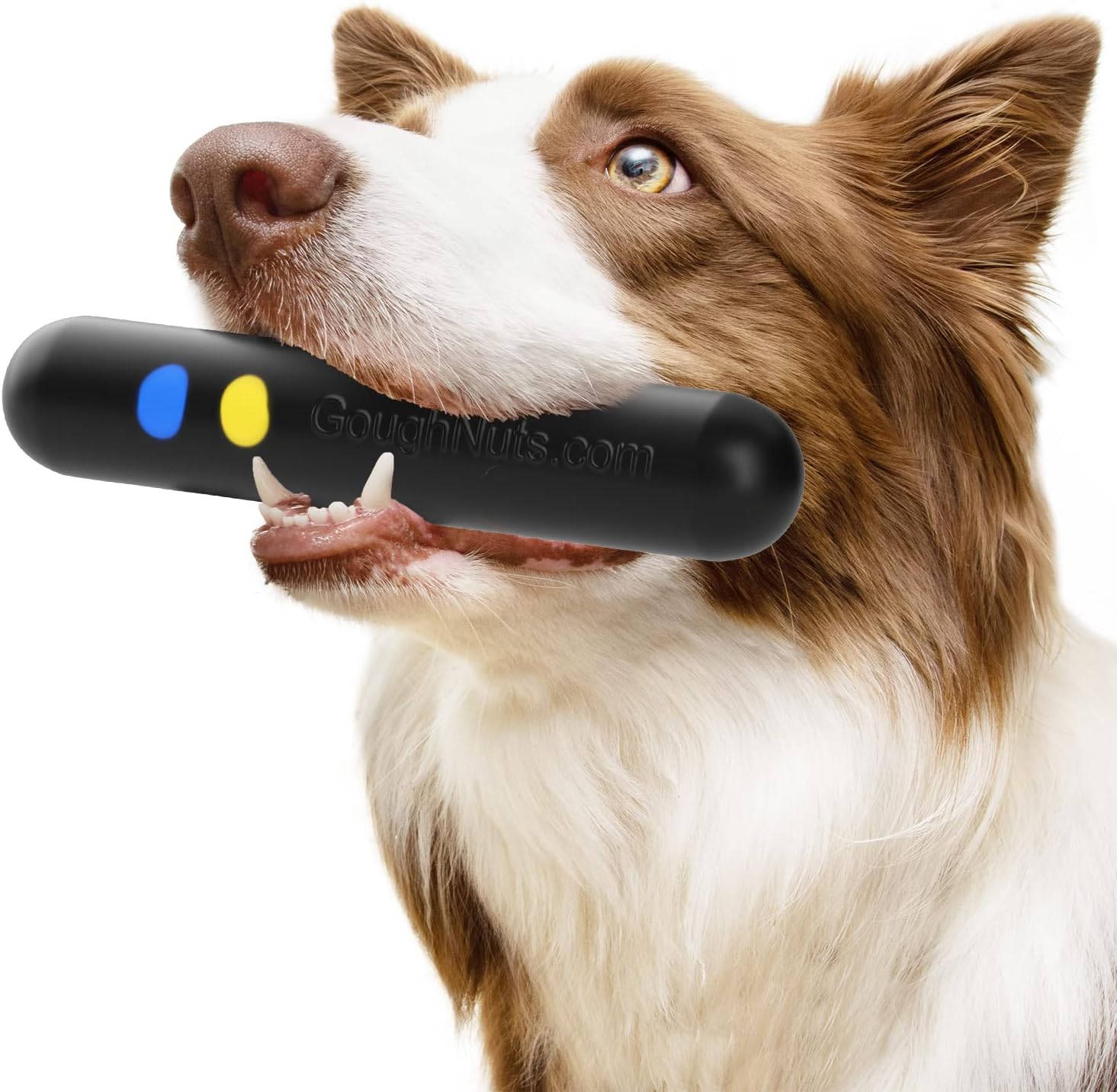Goughnuts - Hunde-Kauspielzeug, praktisch unzerstrbar - Das Hundespielzeug für Power-Kauer hlt selbst hartnckigen Hunden Stand - Orange