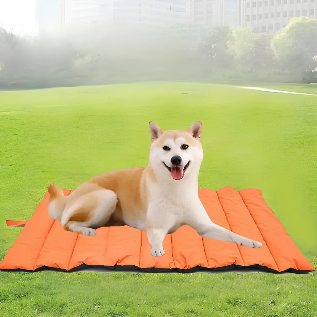 Tappetino impermeabile per cani da esterno – Ideale per giardino e terrazzo