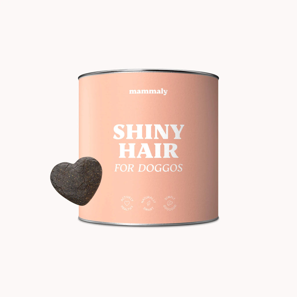 Capelli lucidi