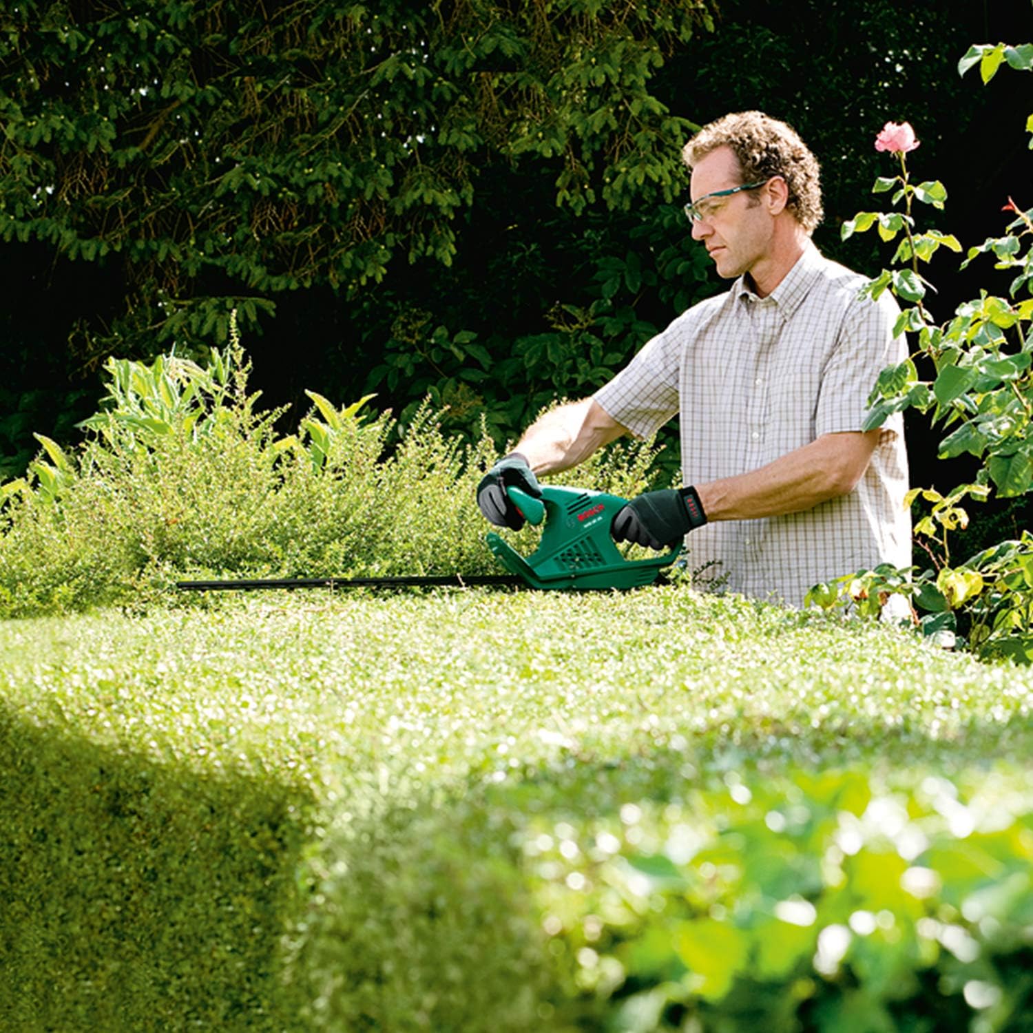 Bosch Heckenschere UniversalHedgeCut 60 (480 Watt, Messerlänge: 60 cm, für mittelgroße Hecken, Messerabstand: 30 mm, im Karton)