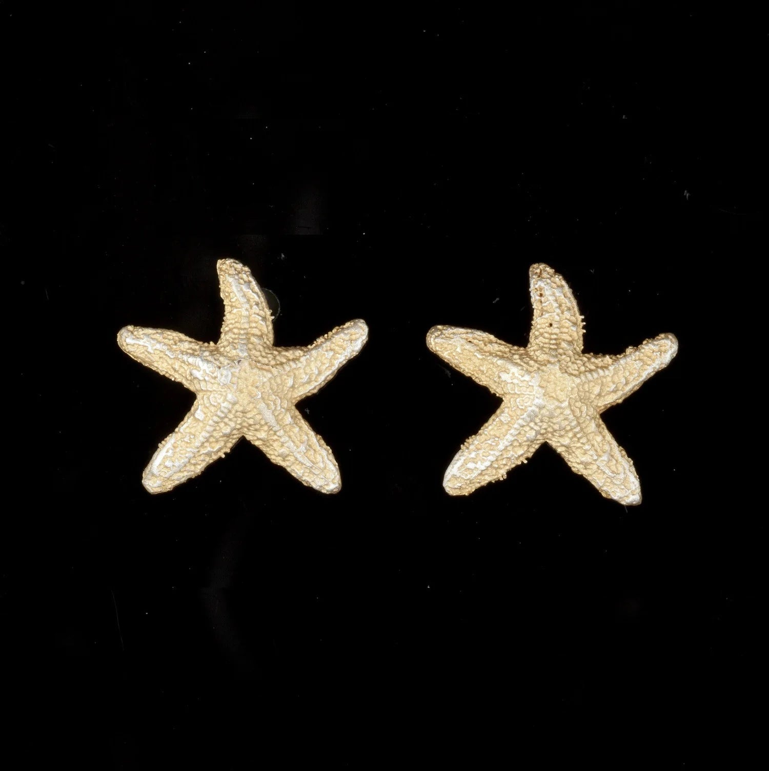 Seestern - Ohrstecker