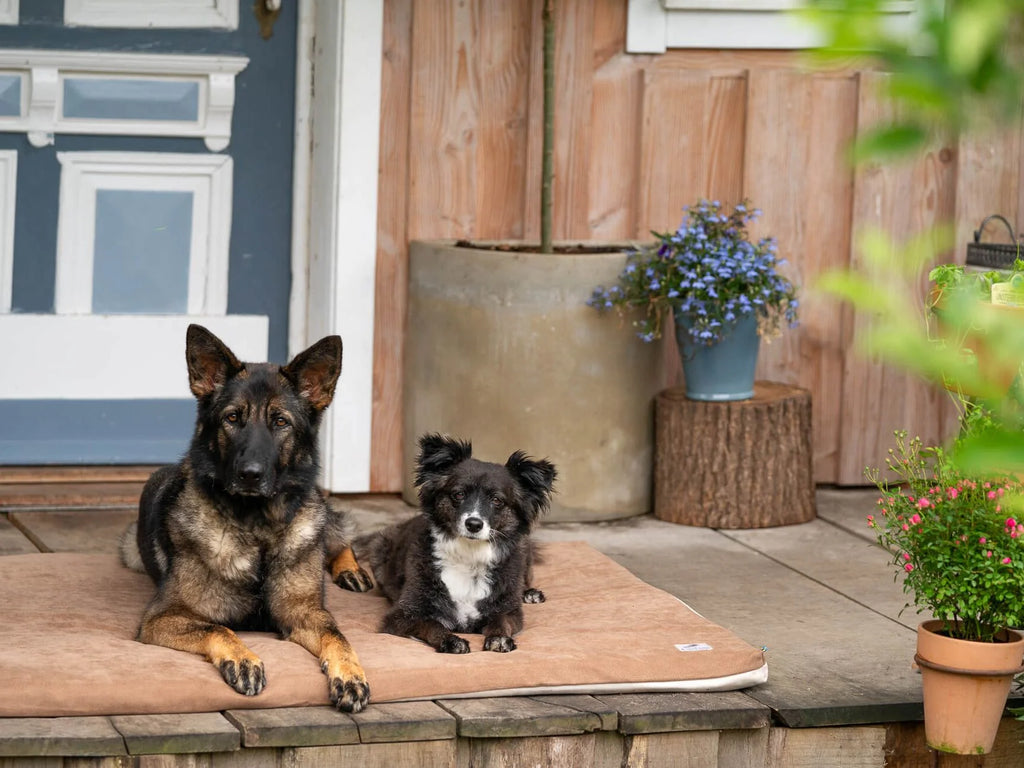 Tappeto per cani Jokkmokk Alltid