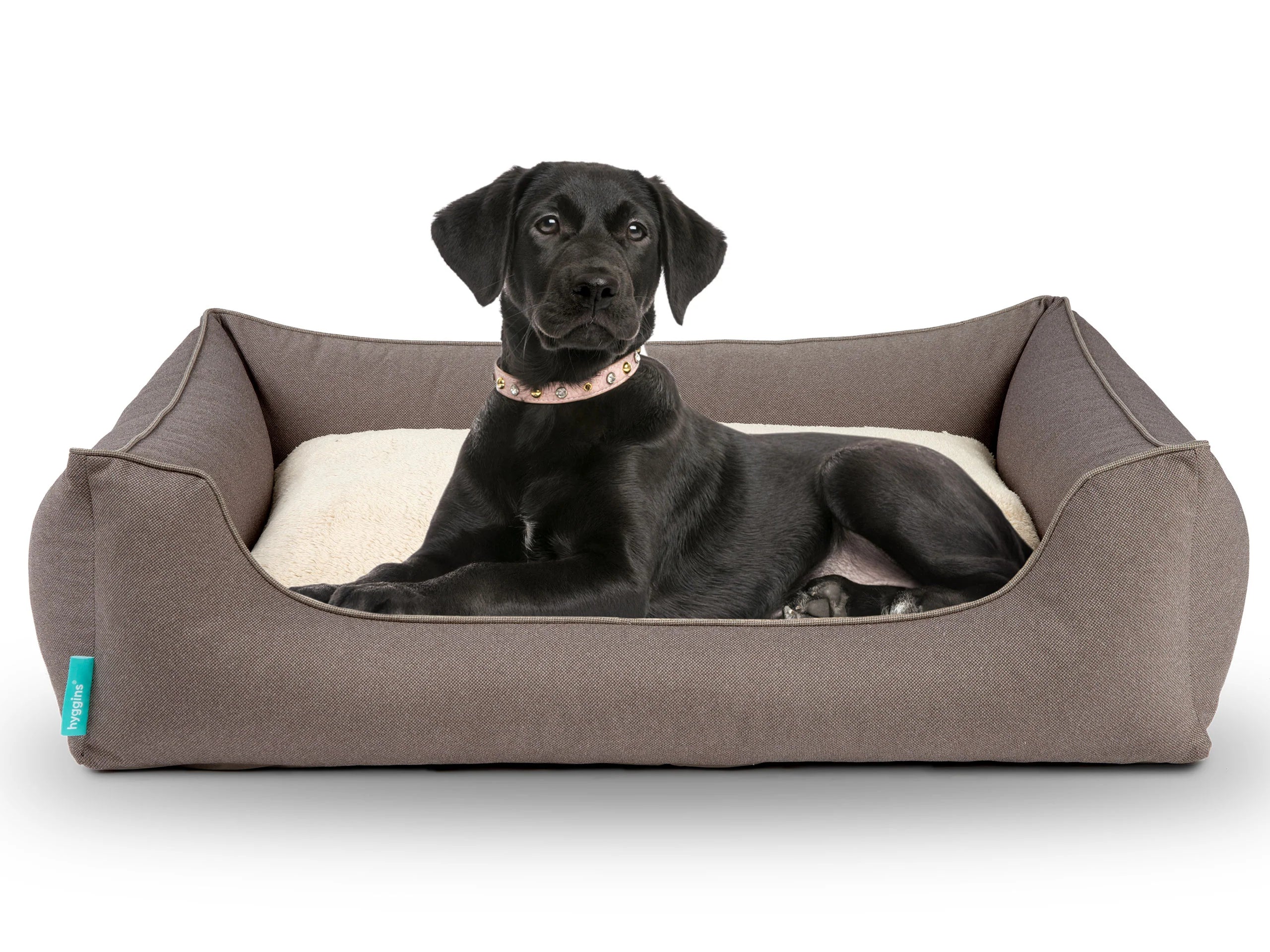 Dreamer Perfect Cuccia per Cani