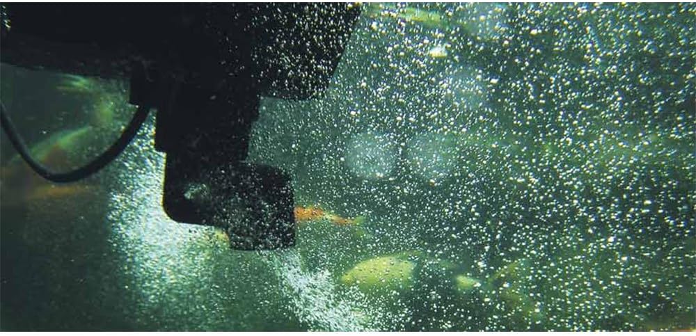 Oase 50170 SwimSkim CWS & Söll 14432 FilterstarterBakterien hochreine Mikroorganismen für Teiche 500 g - natürliche Filterbakterien aktivieren die Biologie der Filter im Gartenteich