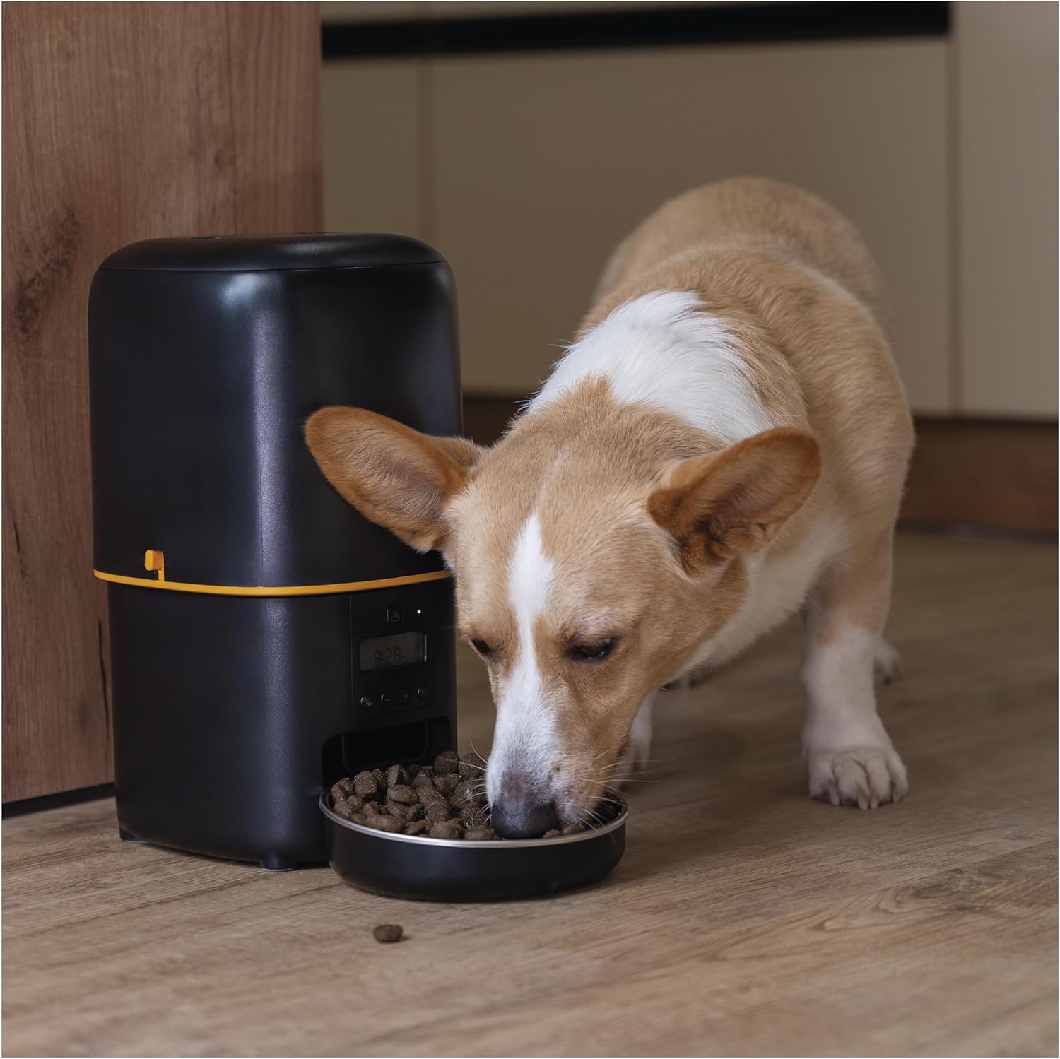 EMOS - GoSmart Futterautomat 6 l mit Kamera - WLAN Pet Care Futterspender mit App - Trockenfutter Automat für Katze & Hund mit Zeitplan, Sprachaufzeichnung, Dosierung 1–12 Mahlzeiten pro Tag - Schwarz