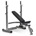 Horizon Fitness Adonis Plus Panca pesi con supporto bilanciere