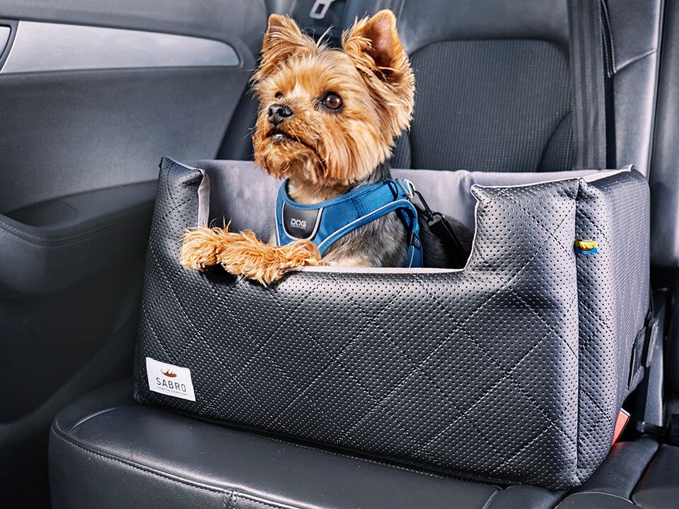 Hunde Autositz Rida