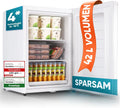 Stillstern Mini Congelatore (42L) -18°C, Vaschetta per Ghiaccio, Serratura, Porta Reversibile, Congelatore 4 Stelle per Campeggio/Ufficio Congelatore Piccolo Congelatore Compatto Congelatore Orizzontale