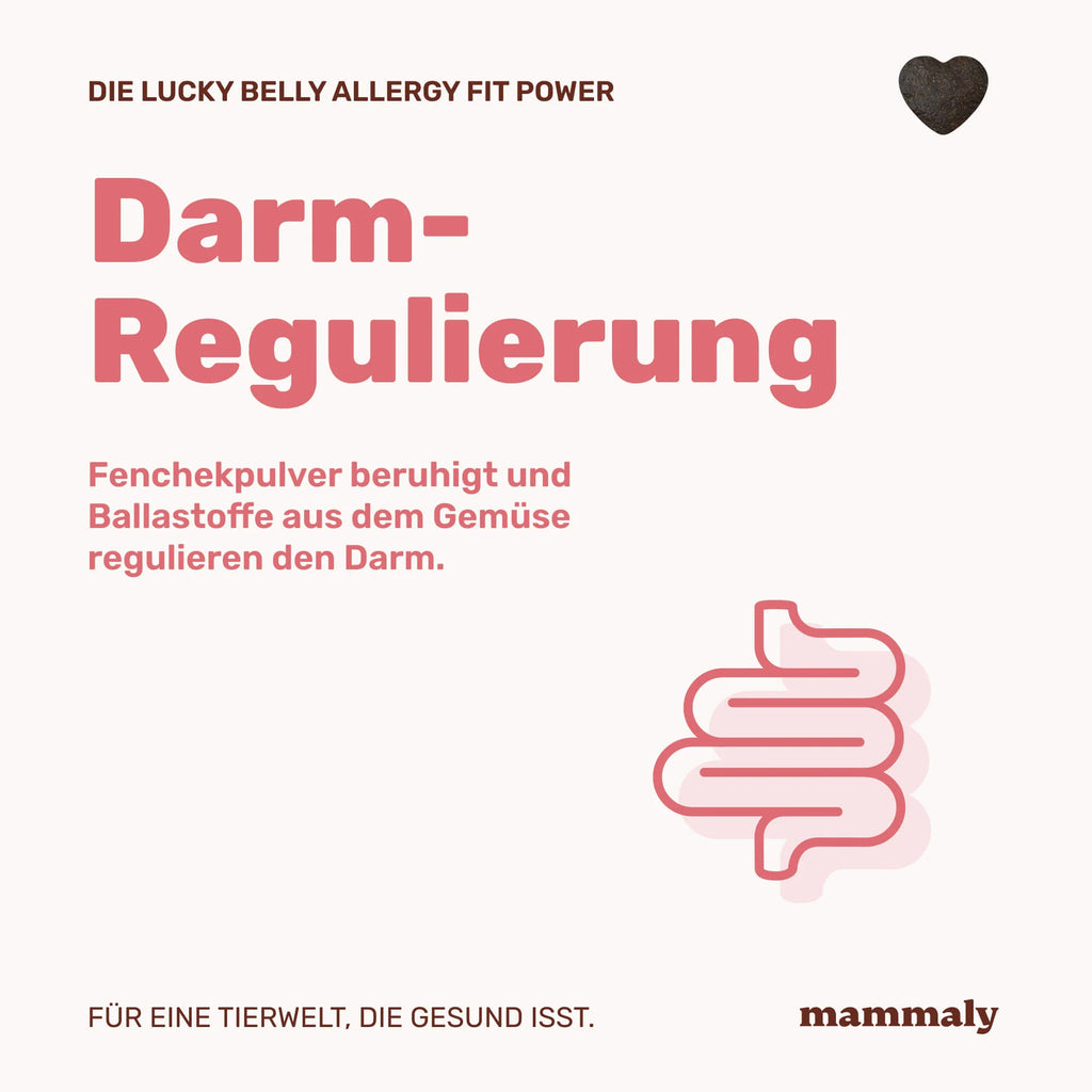 Lucky Belly Allergy Fit