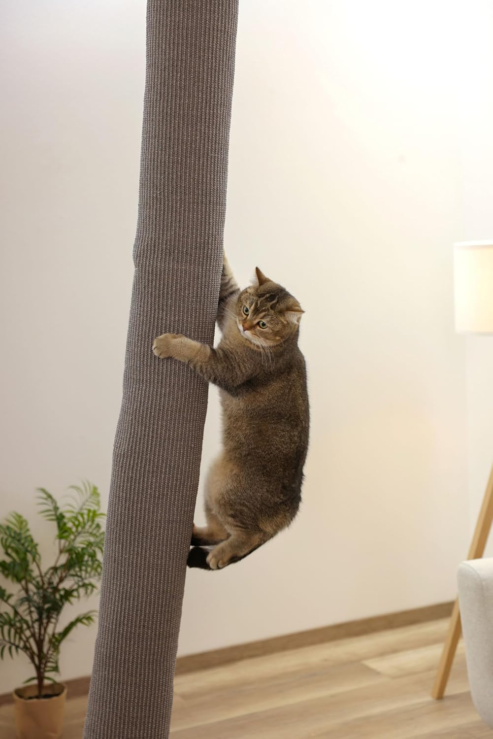 Kerbl Pet Climber Climbing Bag for Cats 16 x 16 x 240 cm