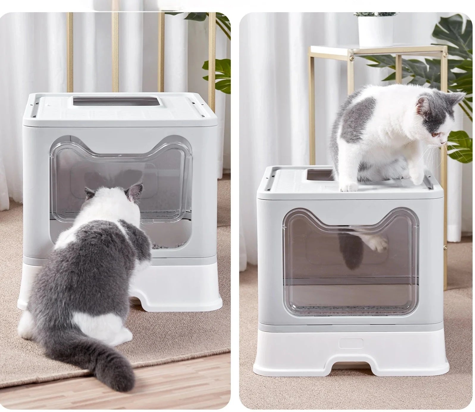 Buster | Komfortable Katzentoilette mit Schaufel