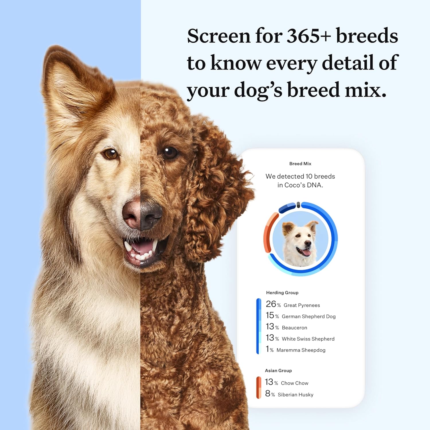 Wisdom Panel Essential Hunde DNA-Kollektorset