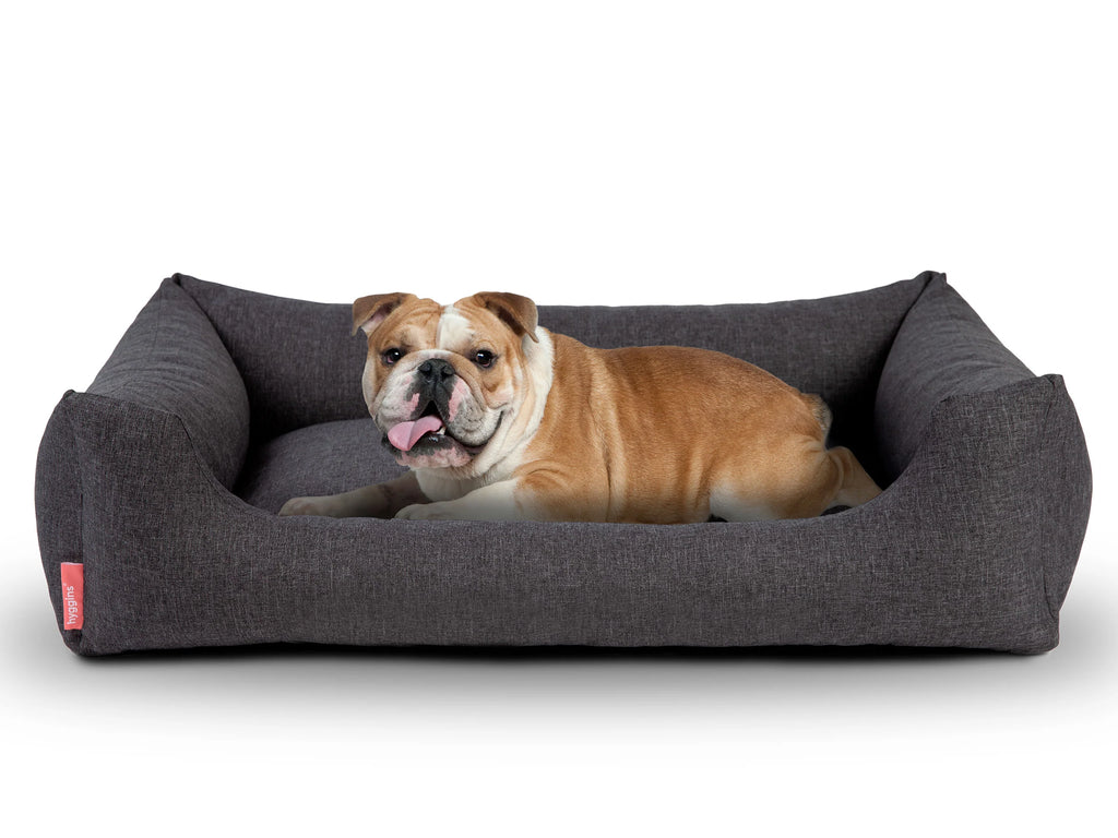 Cuccia per cani Dreamer Pure