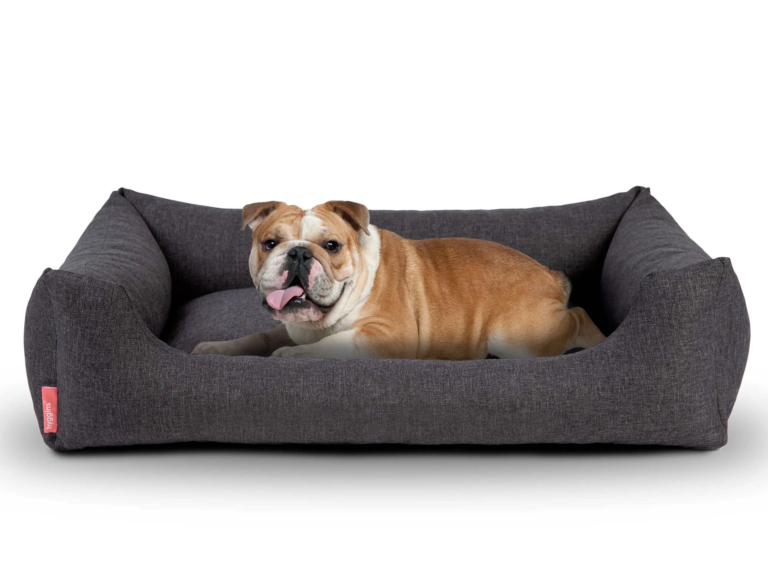 Cuccia per cani Dreamer Pure