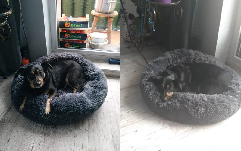 Cuccia per Cani Luna Soffice e Calmante - Cuscino Rotondo per Cani Piccoli, Medi e Grandi
