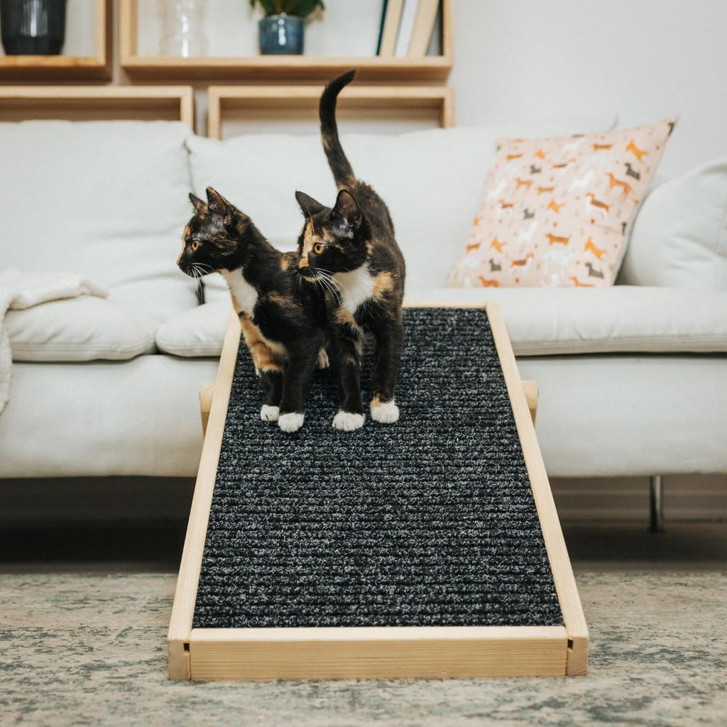 Holtaz Rampa per Cani Rampa per Gatti Scaletta per Cani per Letto o Divano Pieghevole in Legno Petwalk Scala per Cani Rampa di Carico per Animali Domestici con Inserto Antiscivolo Naturale