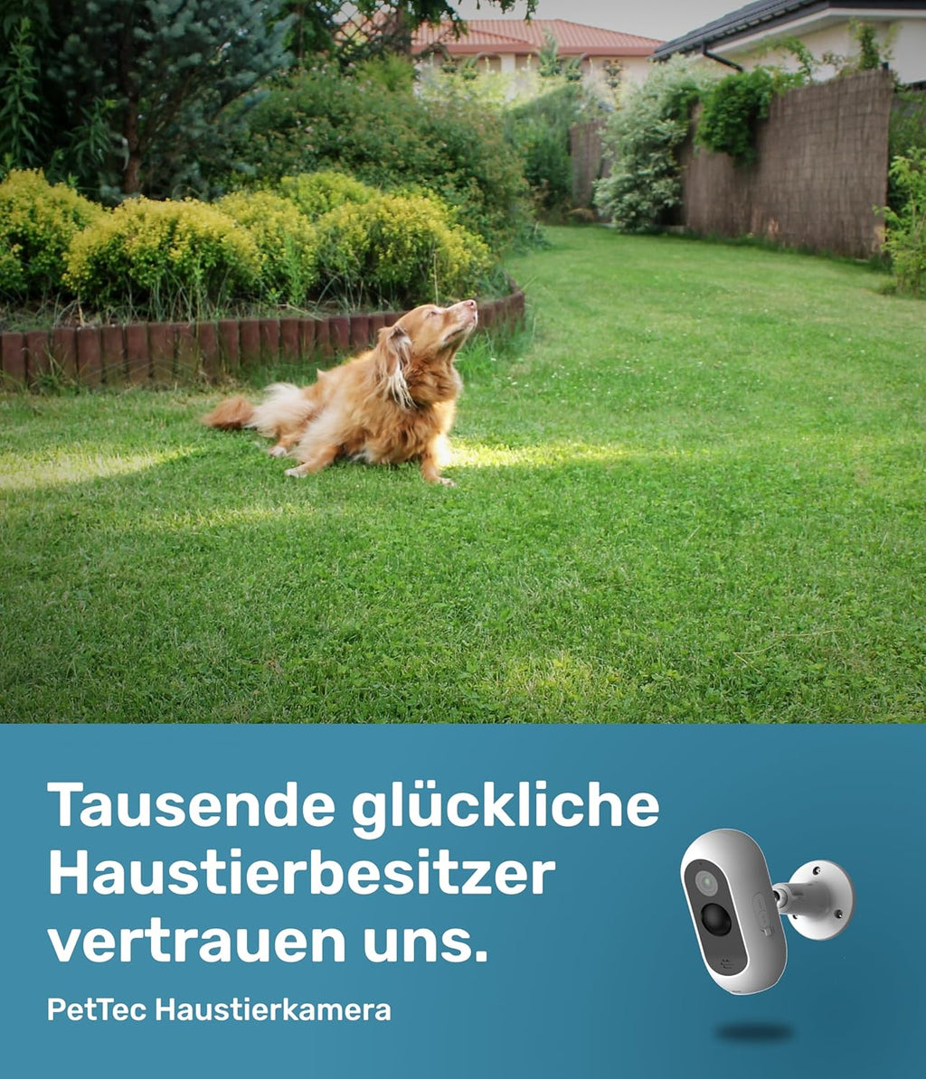 PetTec Videocamera per animali domestici a 360° e distributore automatico di cibo con espulsione di crocchette - tramite App e pulsante multifunzione - Rilevamento dei latrati - Funzione visione notturna 3MP - Telecamera per cani e gatti