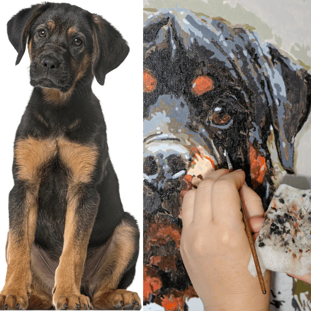 Dipingi con i numeri - Crea il tuo ritratto di cane (cornice inclusa)