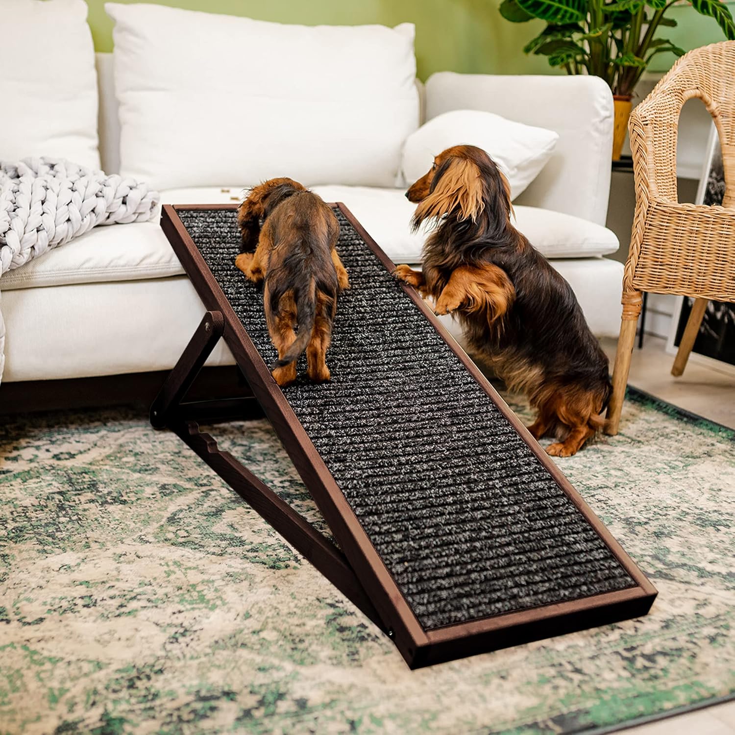 Holtaz Rampa per Cani Rampa per Gatti Scaletta per Cani per Letto o Divano Pieghevole in Legno Petwalk Scala per Cani Rampa di Carico per Animali Domestici con Inserto Antiscivolo Naturale