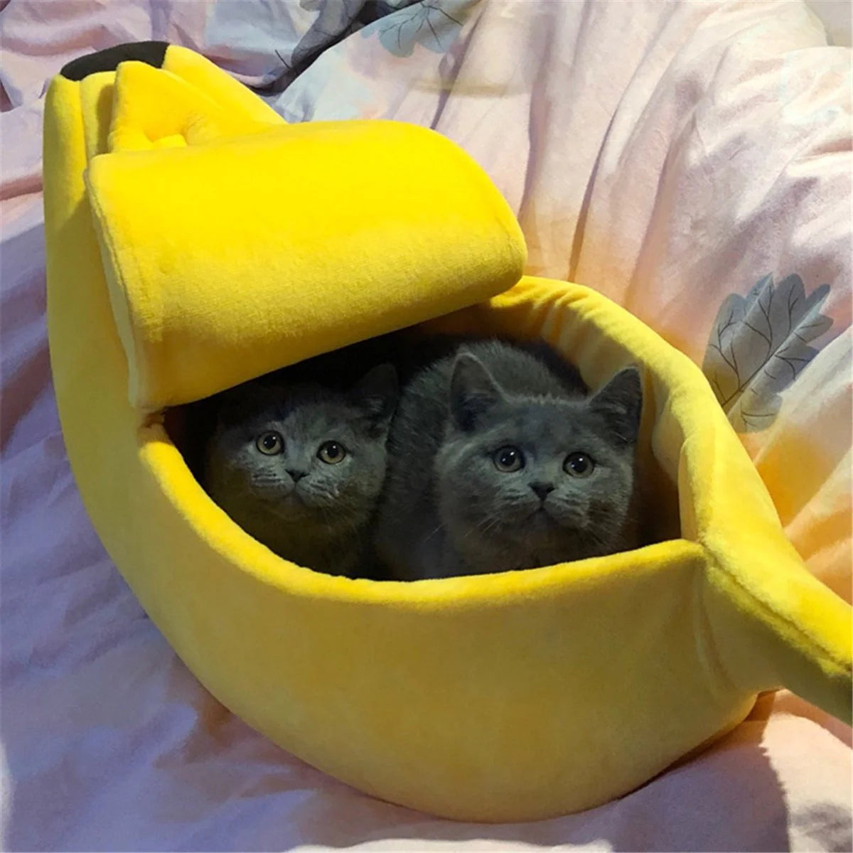 Accogliente letto a banana per gatti – Il posto perfetto per dormire per il tuo felino domestico