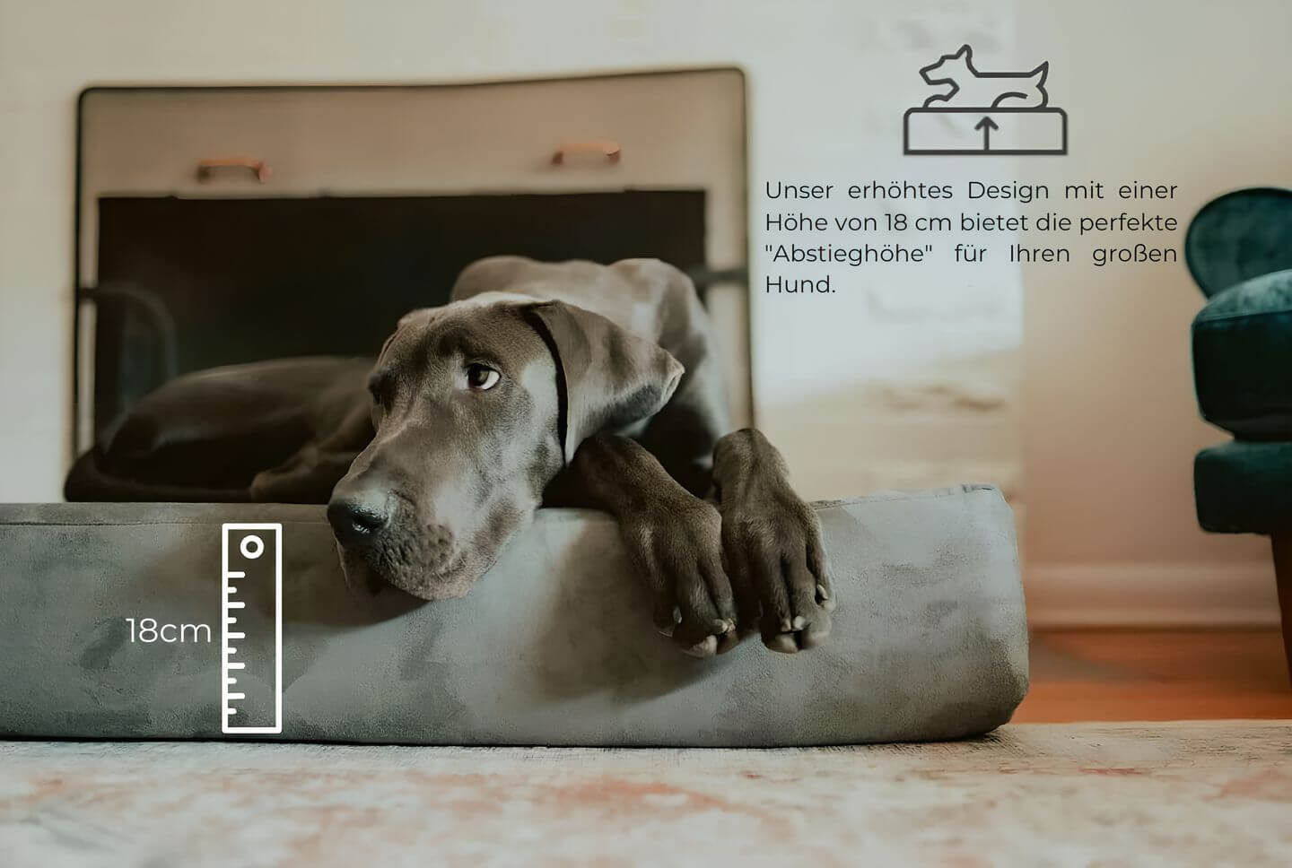 CozyNest – Lussuosa cuccia per cani di taglia grande con comfort e stile