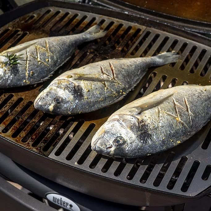 Griglie in acciaio inox per Weber Q300/3000 | lavabili in lavastoviglie - set da 2 pezzi