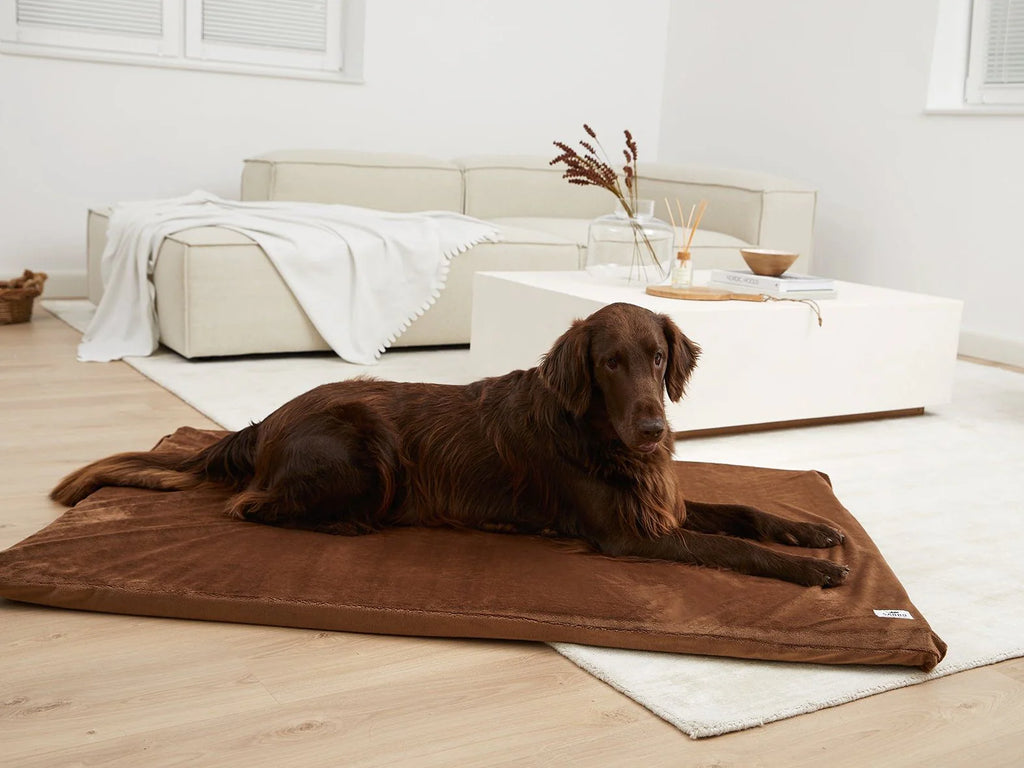 Tappetino per cani Jokkmokk Mynki