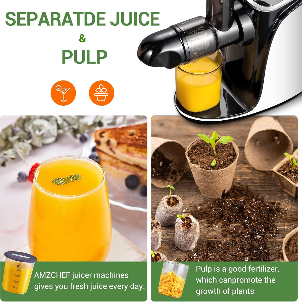 AMZCHEF Estrattore di Succo per Frutta e Verdura con 2 Modalità di Velocità - Slow Juicer con Bottiglia Portatile e 2 Tazze - Cold Press Juicer Senza BPA con LED Intelligente e Funzione di Inversione - Nero