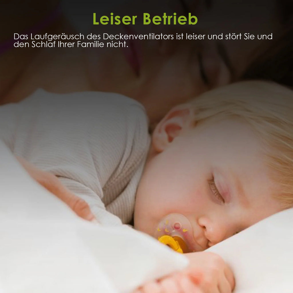 Sonnewelt Deckenventilator mit Beleuchtung 80W