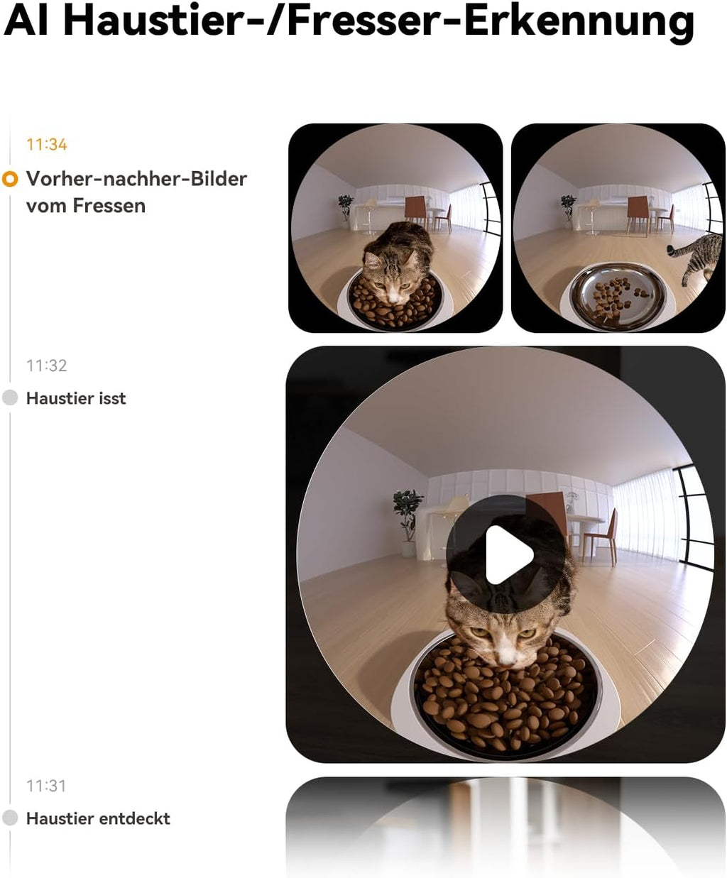 Imou Mangiatoia Automatica per Gatti da 4L con Fotocamera 4MP e 360°, Dispenser Automatico per Gatti/Cani con Sensore di Basso Livello di Cibo e Blocco, Rilevamento di Movimento e Animali Domestici, 1-15 Pasti/Giorno