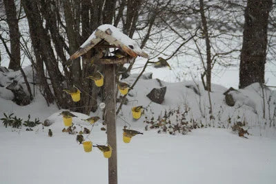 BirdWheel - Vogelfutterhaus für drauen