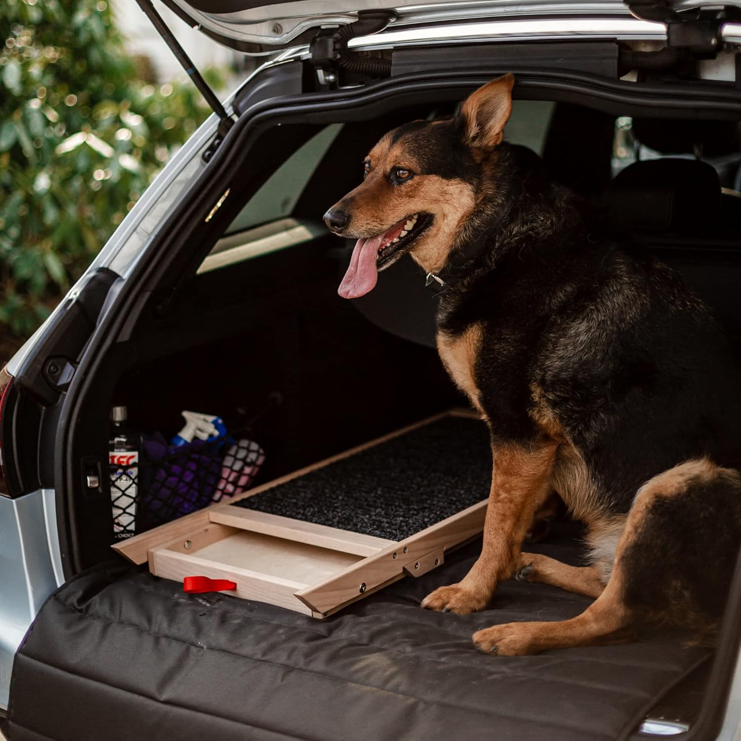 Holtaz Rampa per Cani Rampa per Gatti Scaletta per Cani per Letto o Divano Pieghevole in Legno Petwalk Scala per Cani Rampa di Carico per Animali Domestici con Inserto Antiscivolo Naturale