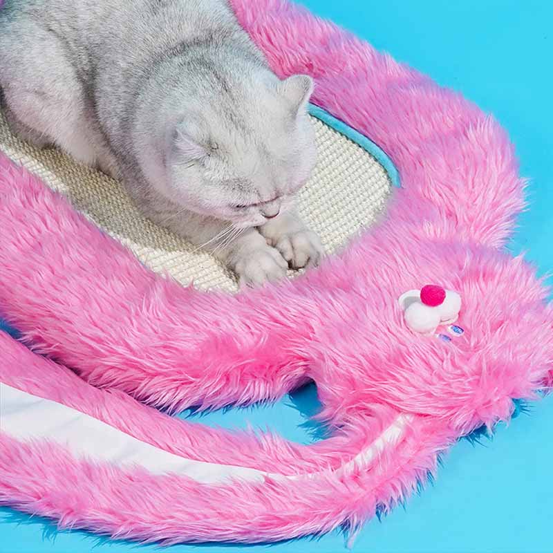 FunkyPaws – Vielseitiges Katzenbett und Kratzbrett für Spiel und Entspannung
