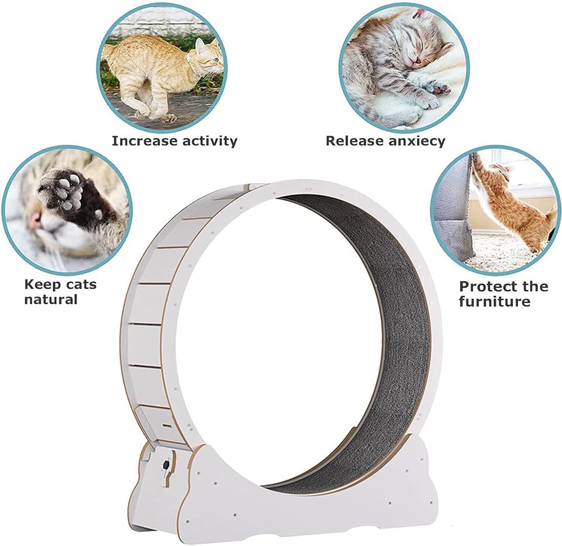 Ruota da corsa per gatti di grandi dimensioni per gatti da interno, tapis roulant graffiante con colore del legno naturale, ruota da corsa, tiragraffi in cartone per l'intrattenimento del gatto, rosa-S