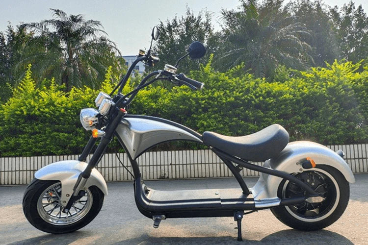 Elektro-Chopper Mangosteen M1 in Silber – 2000W Hochleistungsmotor und Stilvoll