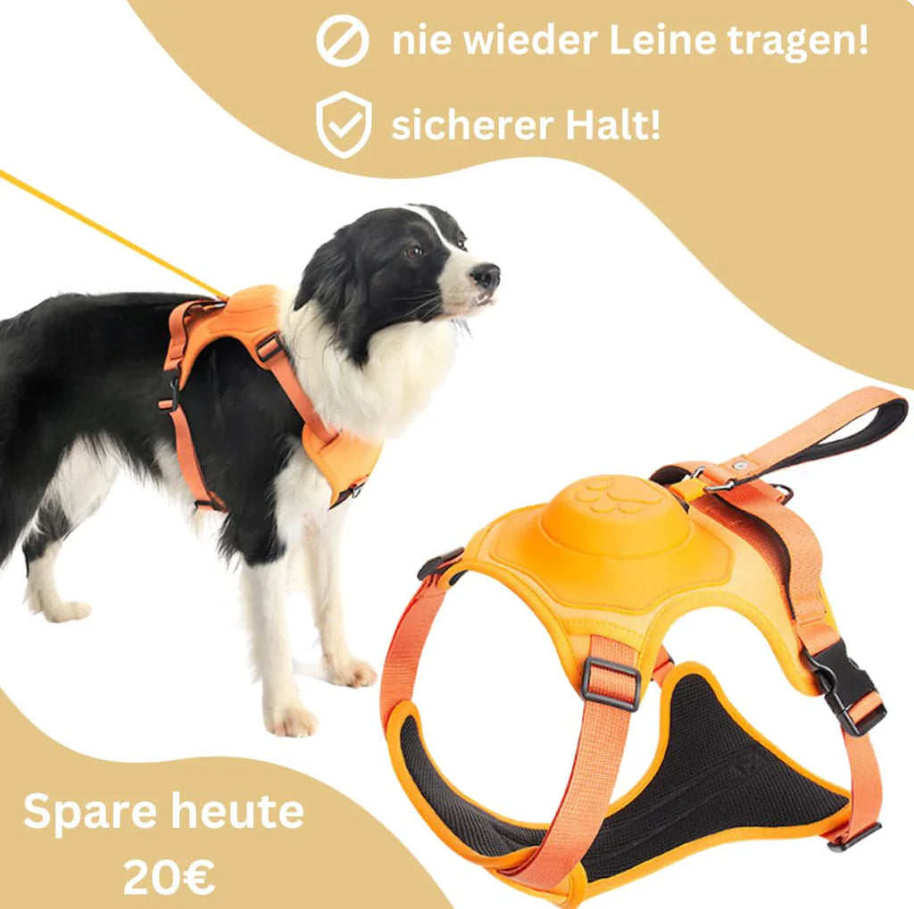 Imbracatura per cani con guinzaglio integrato: comfort e controllo in un'unica soluzione