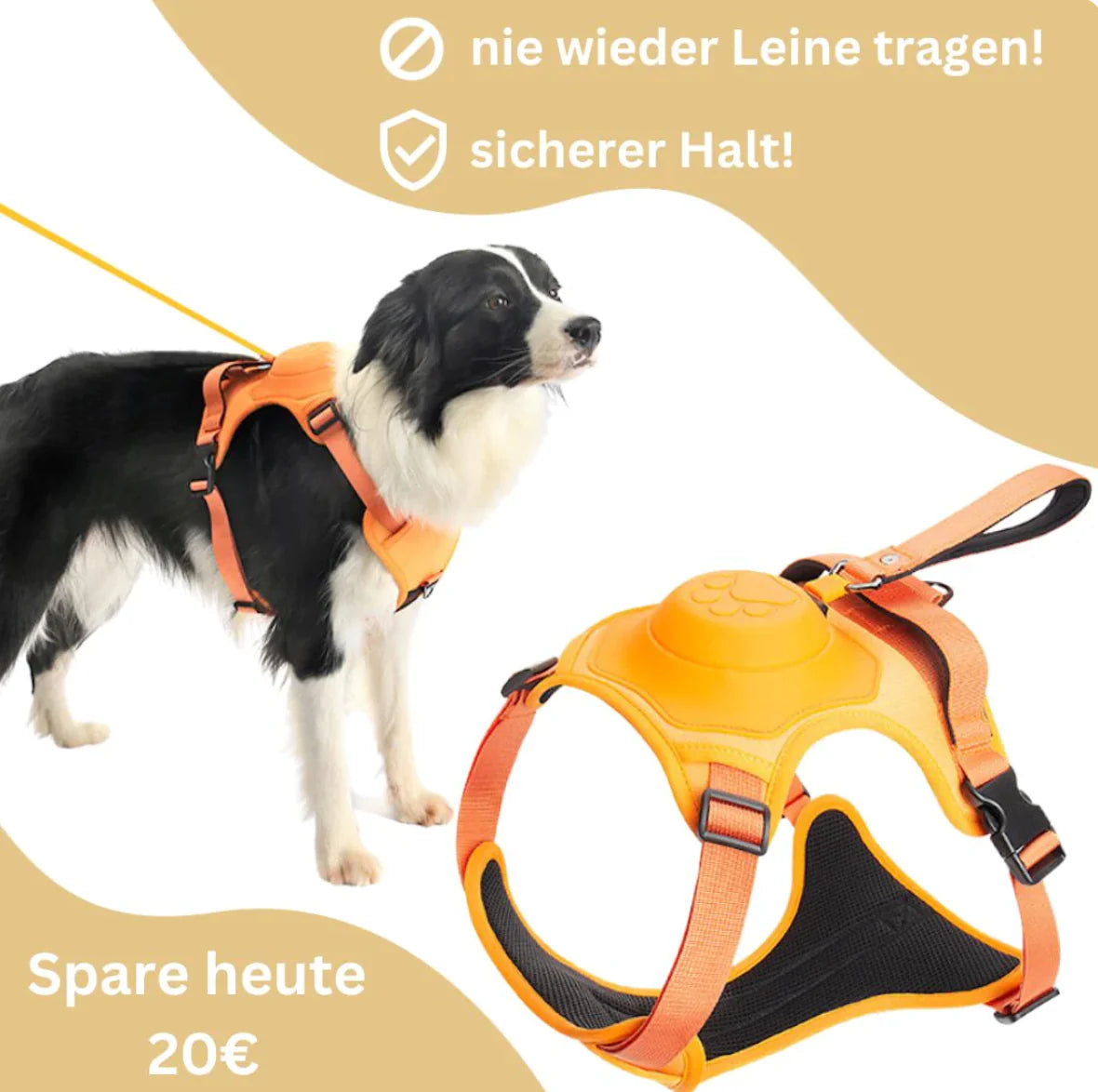 Imbracatura per cani con guinzaglio integrato: comfort e controllo in un'unica soluzione