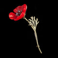 Mohnblume Brosche