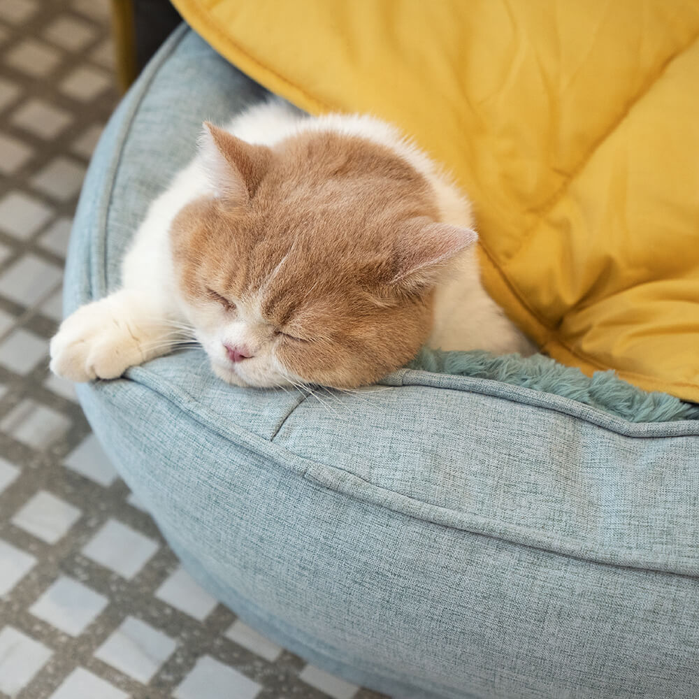 Donut Kuscheliges Orthopdisches Hundebett