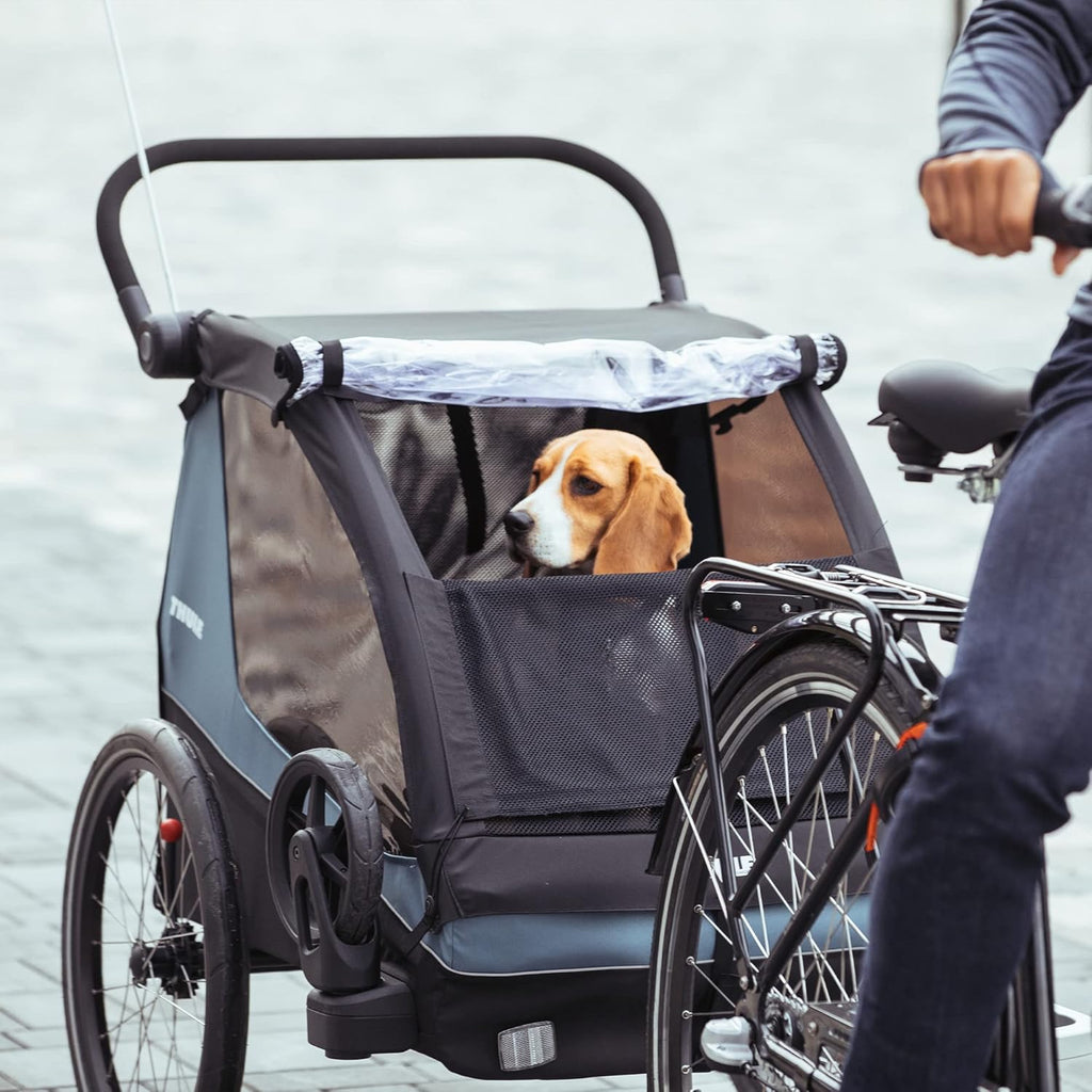 Rimorchio per bicicletta Thule Courier Dog, Rimorchio per bicicletta per 2 bambini blu egeo taglia unica