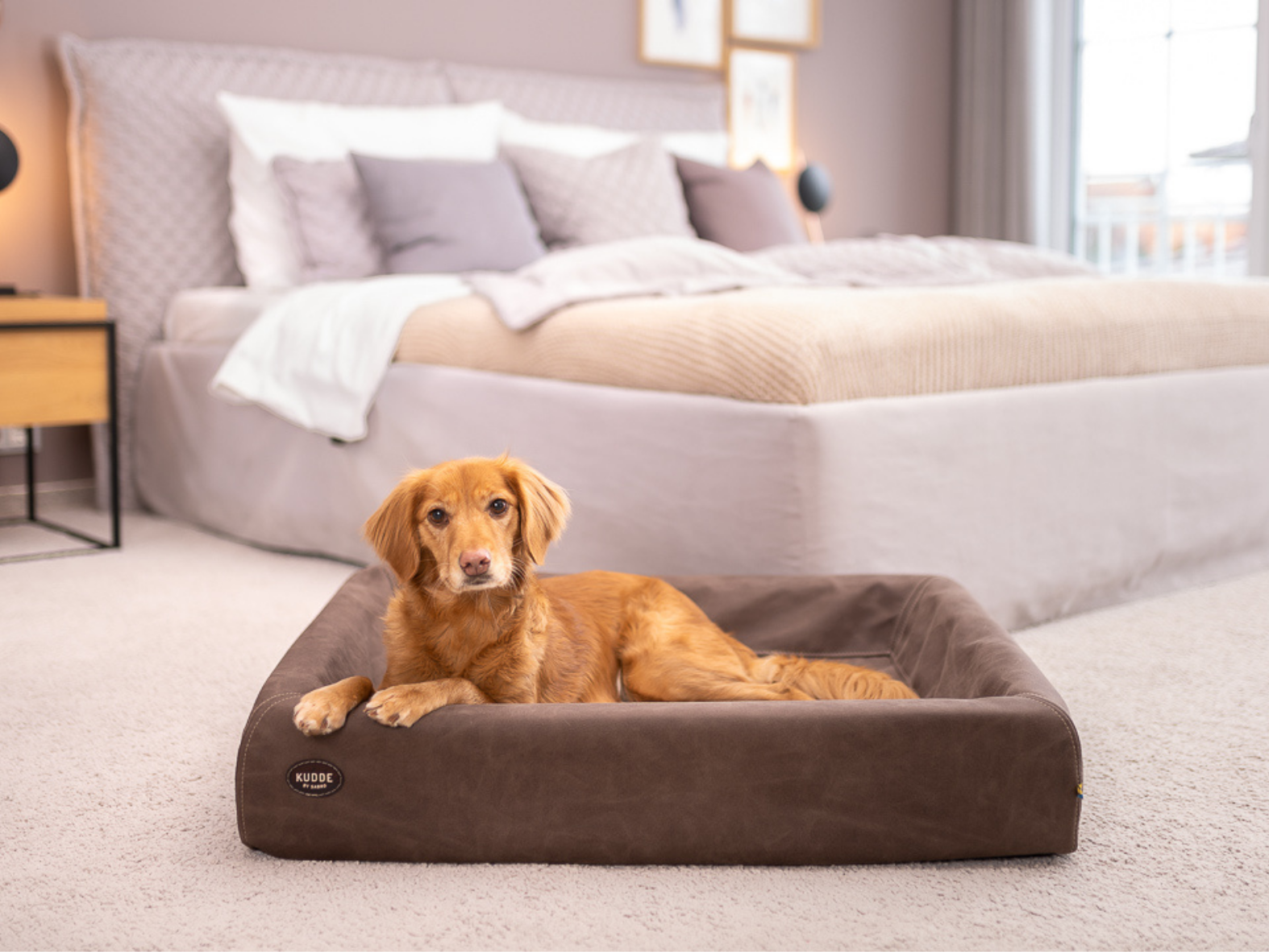 Hundebett KUDDE Wildlederoptik