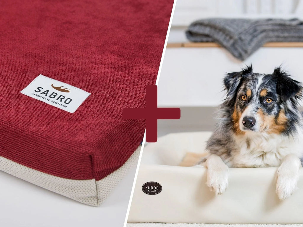 Pacchetto Orthopdisch-Plus | Cuccia KUDDE + Materassino Mumin Alltid