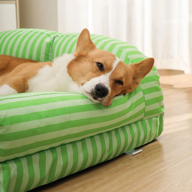 Kühles Haustierbett – Gestreiftes Hundesofabett für den Sommerkomfort