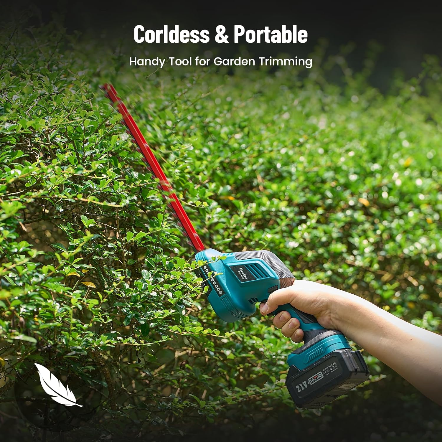 Seesii Set 6-in-1 Mini Motosega e Tagliasiepi a Batteria, con 2 Batterie da 4000mAh, Potatore ad Asta con Asta Telescopica, Portata Massima fino a 4,57m, Adatto per la Cura del Giardino e il Taglio del Legno