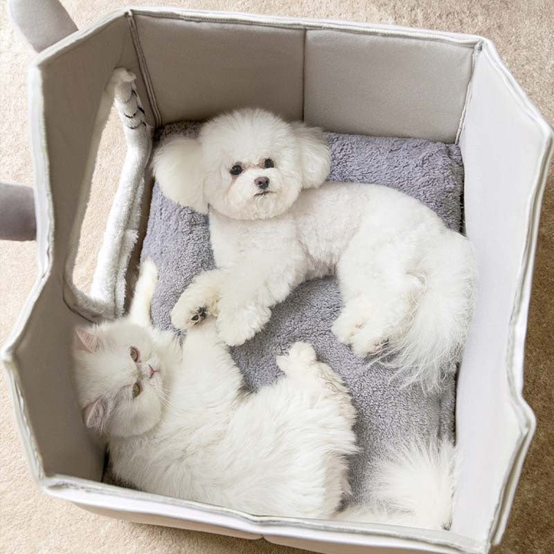 CatComfort – Lussuosa cuccia semiaperta per gatti, per il massimo del comfort e delle coccole