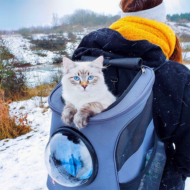 HundeJoy Katzen-Transporttasche – Sicherer Begleiter für jedes Abenteuer