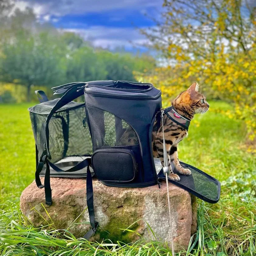 Jip | Stylischer Katzenrucksack für unterwegs