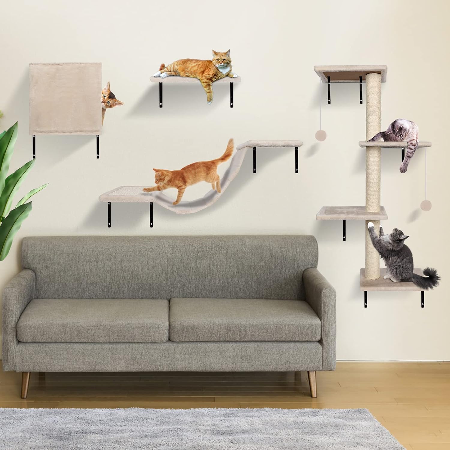 Die zvondema wand aus zehn tonbeinigen streegen, eine rollcat-brücke, eine kissenschlacht mit schwerem griff, ein spielegeländer, ein Trace ball und eine katzen-kletterwand bis zum kilogramm